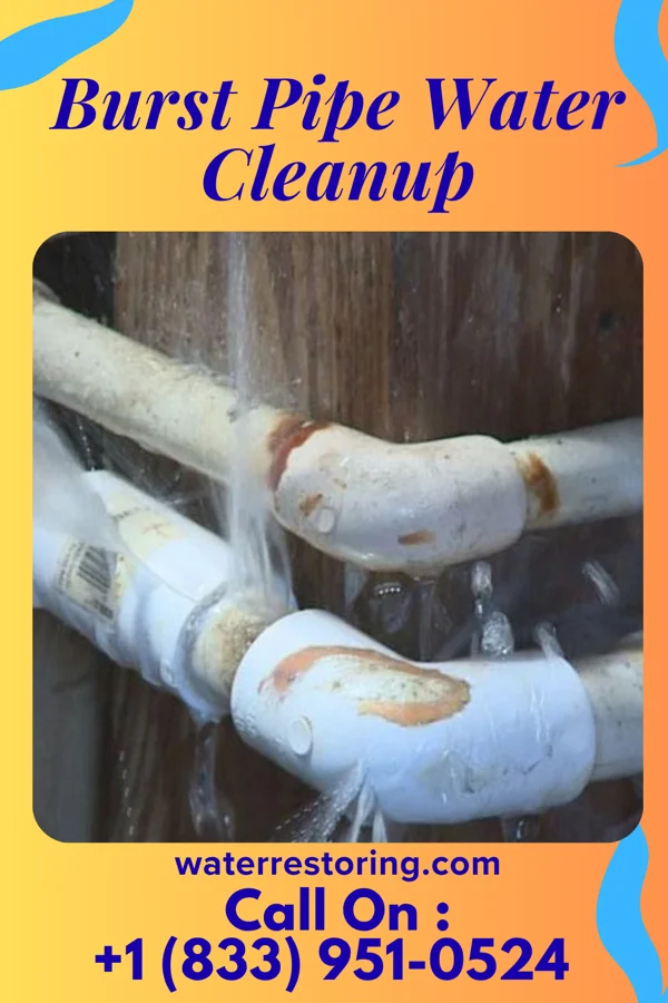 Burst Pipe Water Cleanup in Gackle, ND