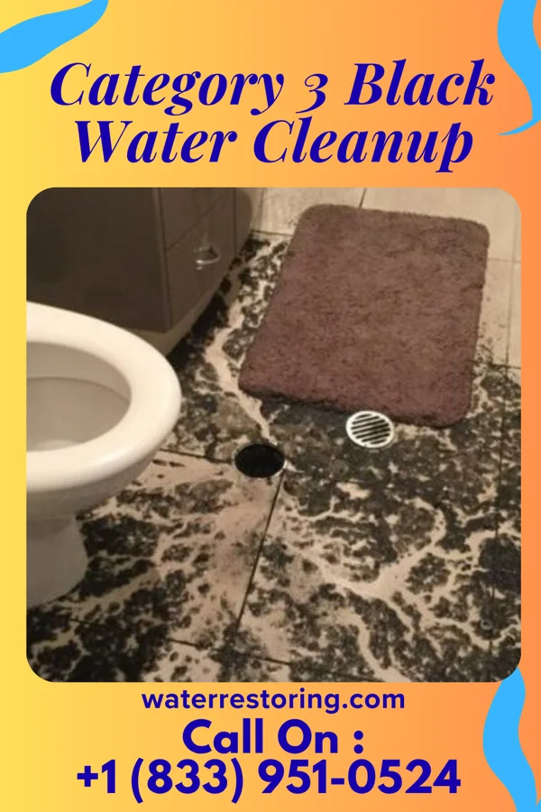 Category 3 Black Water Cleanup in Gackle, ND